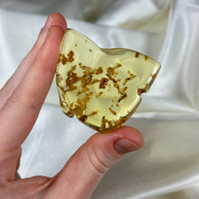 Load image into Gallery viewer, Copal Amber Specimen with Termites A