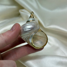 Load image into Gallery viewer, Pearlized Turbo Shell Pendant B