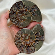 Load image into Gallery viewer, Naturally Iridescent Ammonite Matching Pair with Crystallized Inside A