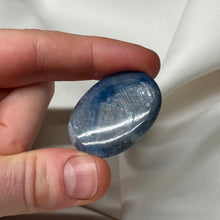 Load image into Gallery viewer, Incredible Blue Sapphire Palm