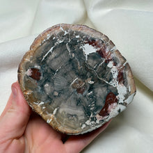 Load image into Gallery viewer, Petrified Wood Slab