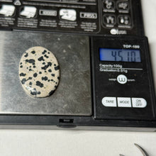 Load image into Gallery viewer, Dalmation Jasper Cabochon 45.1ct