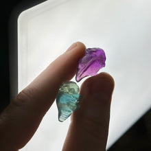 Load image into Gallery viewer, Rainbow Fluorite Axolotl Carvings
