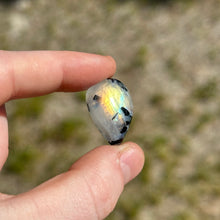 Load image into Gallery viewer, Rainbow Moonstone with Tourmaline Cabochon K