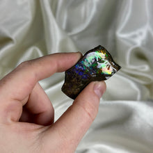 Load image into Gallery viewer, Rainbow Spectrum Gem Ammolite Slab