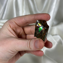 Load image into Gallery viewer, Gem Ammolite Specimen B