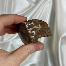 Load image into Gallery viewer, Gem Dinosaur Bone Specimen B