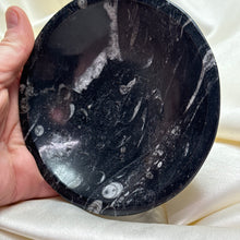Load image into Gallery viewer, Orthoceras Fossil Bowl