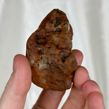 Load image into Gallery viewer, Lodolite / Garden Quartz Lens D with Tourmaline