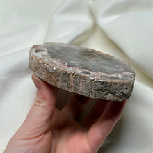 Load image into Gallery viewer, Petrified Wood Slab