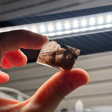 Load image into Gallery viewer, Rutilated Quartz Freeform I