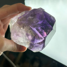Load image into Gallery viewer, 1lb 12oz Top-Polished Amethyst Root