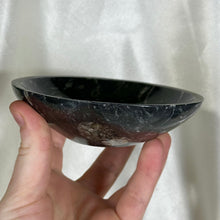 Load image into Gallery viewer, Orthoceras Fossil Bowl E