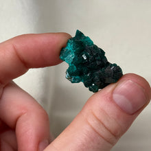 Load image into Gallery viewer, Dioptase Cluster G
