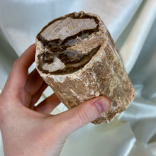 Load image into Gallery viewer, XL Petrified Wood Log (2lb7oz)
