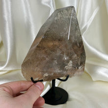 Load image into Gallery viewer, XXL Tourmaline and Rutile in Quartz with Lodolite on Stand