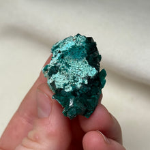 Load image into Gallery viewer, Dioptase Cluster B