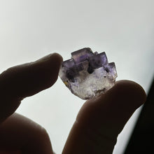 Load image into Gallery viewer, Cubic Fluorite with Floating Pyrite
