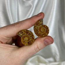 Load image into Gallery viewer, Ammonite Fossil Pair C