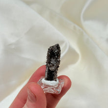 Load image into Gallery viewer, RARE Smoky Quartz on Petrified Wood Specimen from Arizona