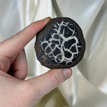 Load image into Gallery viewer, Septarian Nodule with Pyrite A