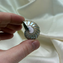Load image into Gallery viewer, Drilled Pearly Shell A