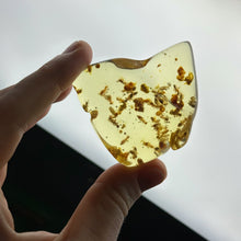 Load image into Gallery viewer, Copal Amber Specimen with Termites A