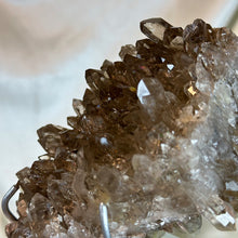 Load image into Gallery viewer, XL Double-Sided AA Rutilated Smoky Quartz on Stand (1lb12oz)