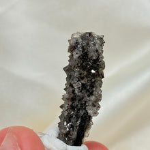 Load image into Gallery viewer, RARE Smoky Quartz on Petrified Wood Specimen from Arizona