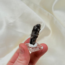 Load image into Gallery viewer, RARE Smoky Quartz on Petrified Wood Specimen from Arizona