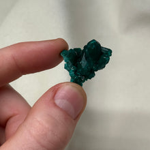 Load image into Gallery viewer, Dioptase Cluster F