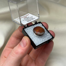 Load image into Gallery viewer, Chocolate Opal D