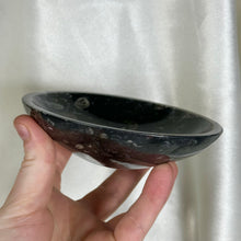 Load image into Gallery viewer, Orthoceras Fossil Bowl D