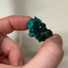 Load image into Gallery viewer, Dioptase Cluster G