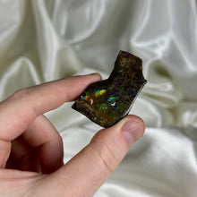 Load image into Gallery viewer, Rainbow Spectrum Gem Ammolite Slab