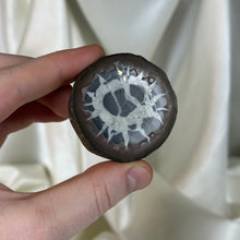 Load image into Gallery viewer, Septarian Nodule with Pyrite B