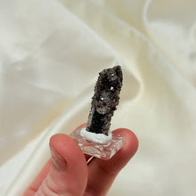Load image into Gallery viewer, RARE Smoky Quartz on Petrified Wood Specimen from Arizona