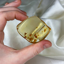 Load image into Gallery viewer, Copal Amber Specimen with Termites B