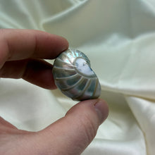 Load image into Gallery viewer, Drilled Pearly Shell B