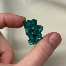 Load image into Gallery viewer, Dioptase Cluster G