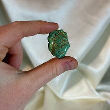 Load image into Gallery viewer, Genuine Mexican Turquoise Specimen B (Stabilized)