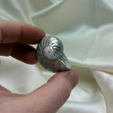 Load image into Gallery viewer, Drilled Pearly Shell B