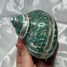 Load image into Gallery viewer, Green/Blue with Pearlized Stripes Turbo Shell A