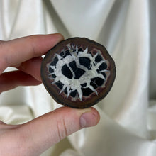 Load image into Gallery viewer, Septarian Nodule with Pyrite B