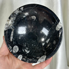 Load image into Gallery viewer, Orthoceras Fossil Bowl A