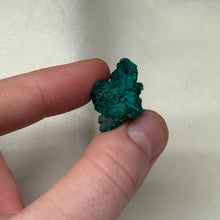 Load image into Gallery viewer, Dioptase Cluster I