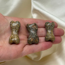 Load image into Gallery viewer, Gem Dino Bone Bone-Shaped Carvings
