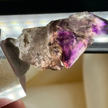 Load image into Gallery viewer, Shangaan Amethyst Sceptar with Enhydros