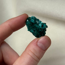 Load image into Gallery viewer, Dioptase Cluster D