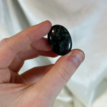 Load image into Gallery viewer, Emerald Pocket Palm C